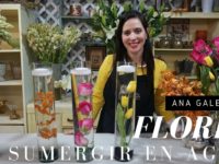 Cilindros con flores sumergidas / paso por paso