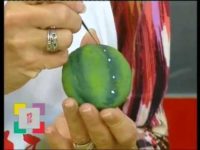 Andrea pinta piedras y hace cactus