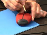 Mariquitas en piedras Hazlo tu misma