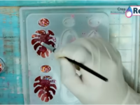 Clase de Resina Repetición HOY